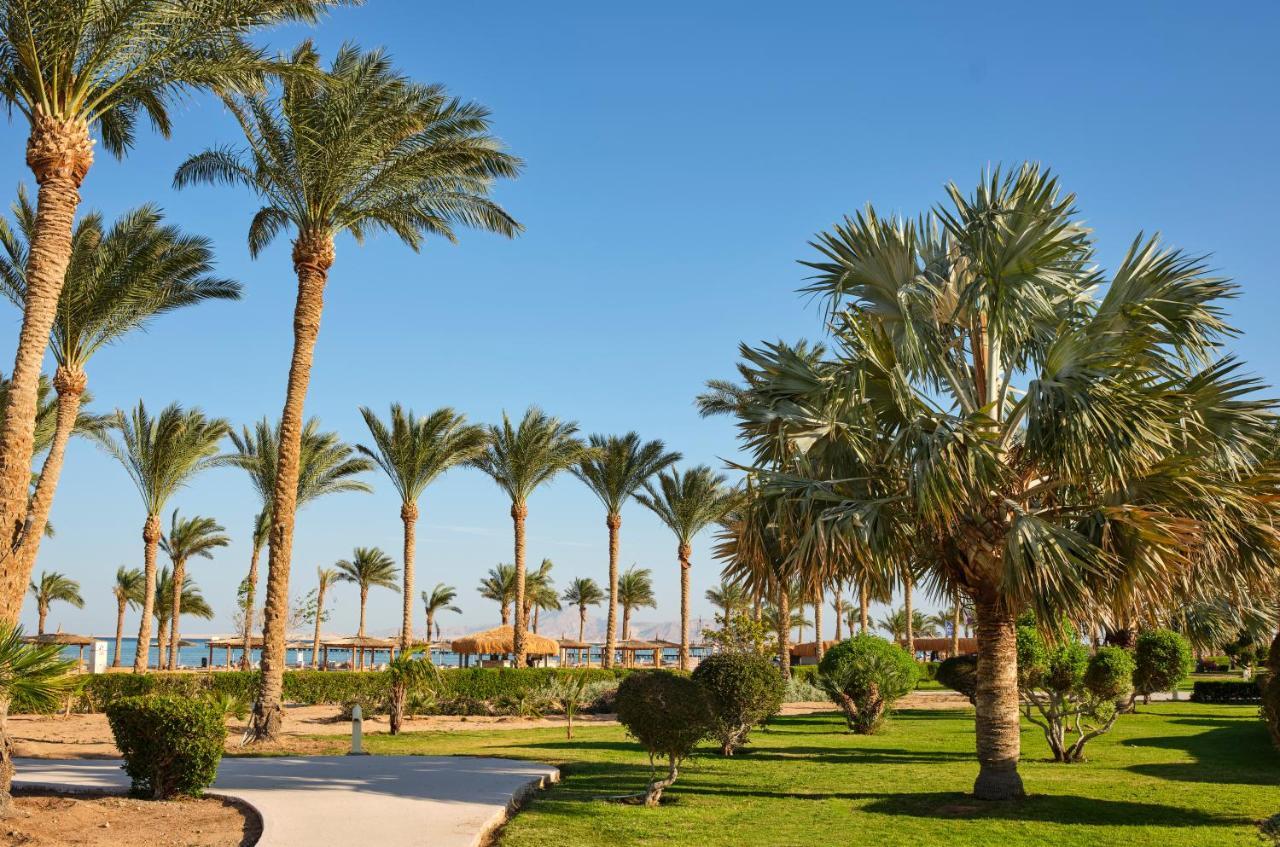 Coral Sea Waterworld Sharm El Sheikh Hotel Exterior photo